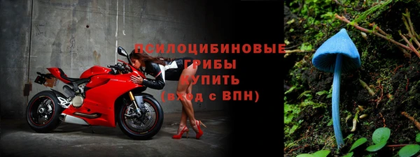 дживик Алексин