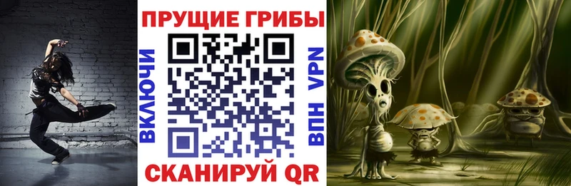 купить   Вихоревка  Псилоцибиновые грибы мухоморы 